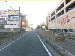 桜区・R463号（埼大通り）ロヂャース前 F