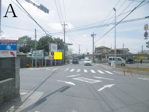 蓮田市・井沼交差点企画
