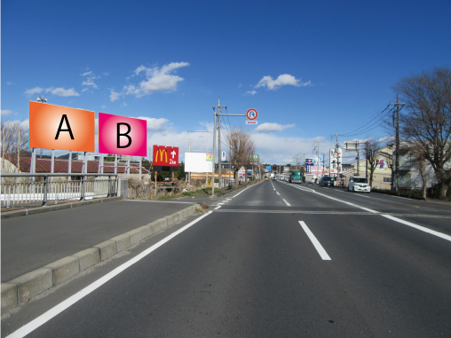 蓮田市・さいたま栗橋線下り城 A・B