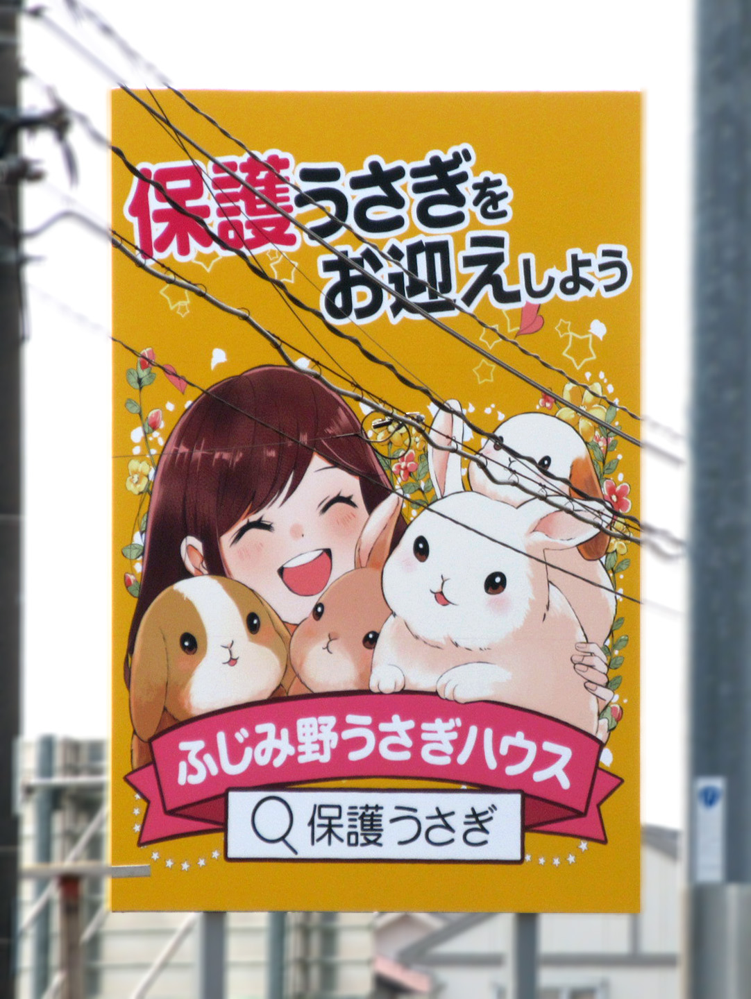 鴻巣市・国道17号線其田交差点手前