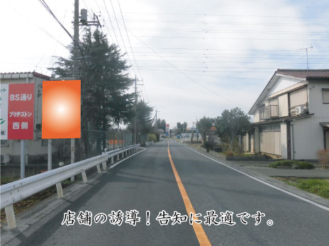 伊奈町・県道5号(大宮菖蒲線)セキチュウ付近 伊奈町・県道5号(大宮菖蒲線)セキチュウ付近